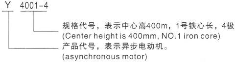 西安泰富西玛Y系列(H355-1000)高压YKK4503-6/400KW三相异步电机型号说明