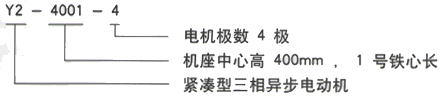 YR系列(H355-1000)高压YKK4503-6/400KW三相异步电机西安西玛电机型号说明